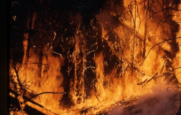 В четырёх районах Якутии чрезвычайно высокий уровень пожарной опасности