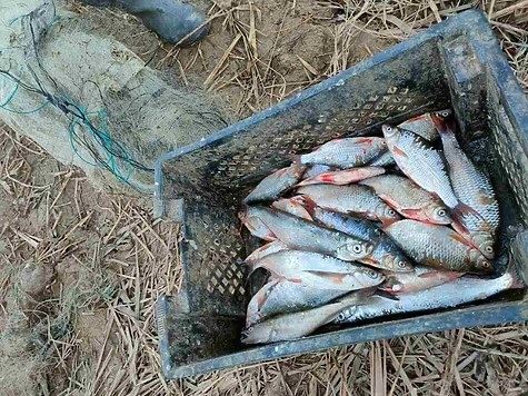 Незаконно добывают рыбу и должностные лица на территории ООПТ