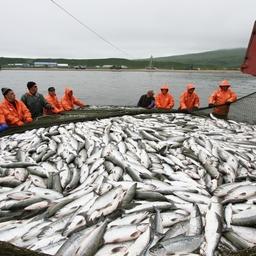 Рыбаки помогут Камчатке нарастить турпоток