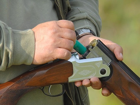 В Челябинской области возросло количество случаев незаконной охоты на косулю