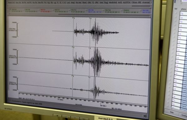 Землетрясение магнитудой 4,6 произошло на Камчатке